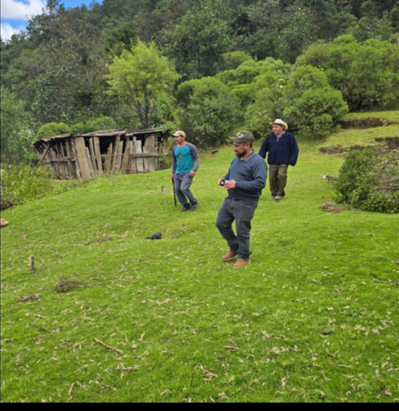 Actividad 4